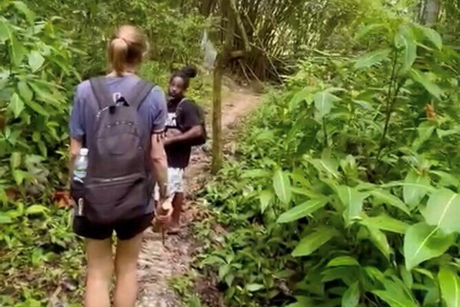 Bush Hiking to explore Wild Plants & Fresh Fruits,Montego Bay - From bamboo rafts pickup to the trail start: how the timing works