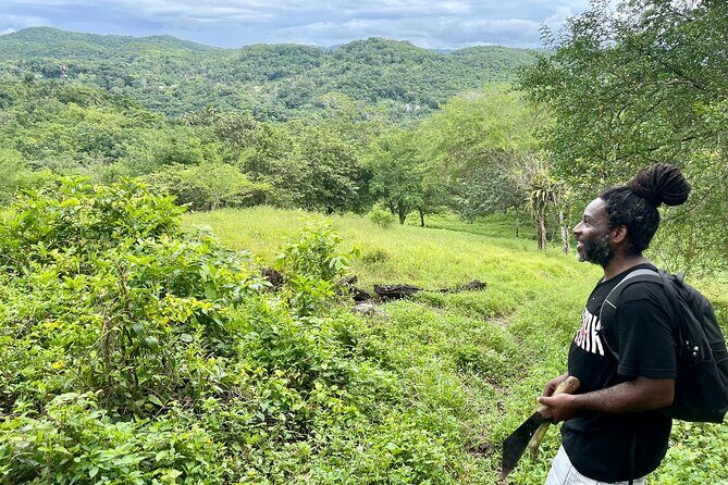 Bush Hiking to explore Wild Plants & Fresh Fruits,Montego Bay - Seasonal fresh fruits and coconut water: the edible reason to book