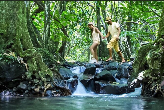 Bush Hiking to explore Wild Plants & Fresh Fruits,Montego Bay - Reaching the natural spring waterfall: your payoff and the cool-off factor