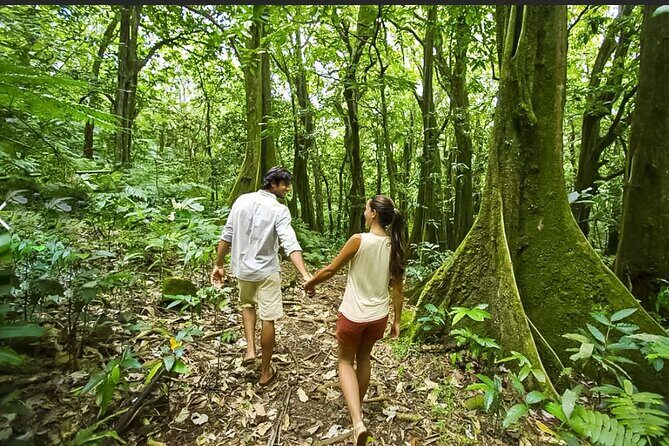 Bush Hiking to explore Wild Plants & Fresh Fruits,Montego Bay - Price and what $160 really covers in Montego Bay
