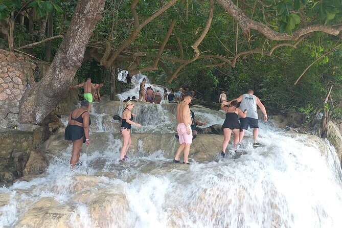 Custom COMBO to Mystic Mountain, Dunns River Falls & Blue Hole - A North Coast day plan built around three icons