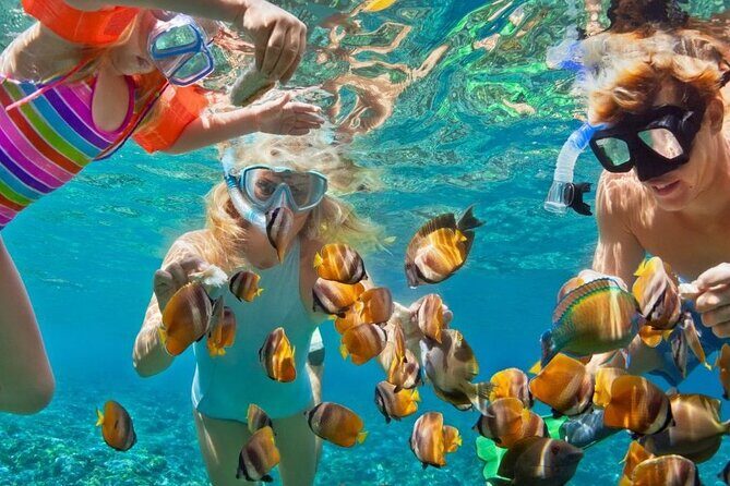 Customize Snorkeling with Option shopping Lunch & Stop local food - Key things you’ll care about most