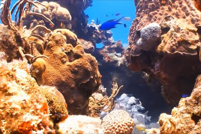 Customize Snorkeling with Option shopping Lunch & Stop local food - The boat ride close to the reef: why it’s not just “transport”