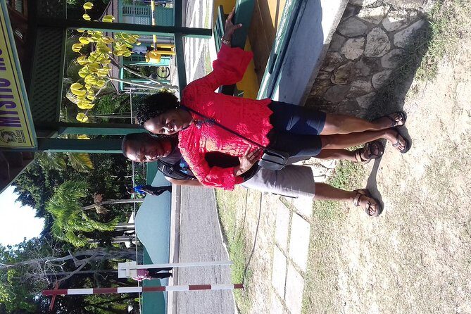 Day Trip to Dunn's River Falls from Montego Bay - Pickup, Air-Conditioned Transport, and the Small-Group Advantage