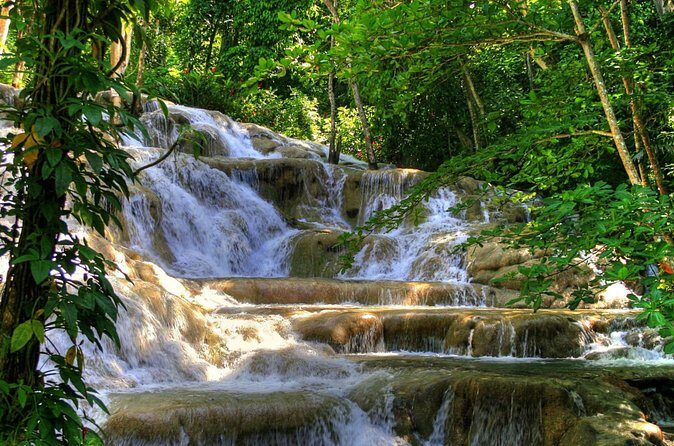 Day Trip to Dunn's River Falls from Montego Bay - Value Check: Is $135.40 a Smart Price for This Trip?