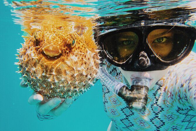 Discover Scuba Diving in Montego Bay-ONE Tank (First time Diving) - Practice Skills in Controlled Conditions Before Open Water