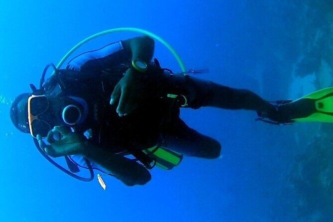 Discover Scuba Diving in Montego Bay-ONE Tank (First time Diving) - The Guided Open-Water Moment: One Tank, Real Marine Life