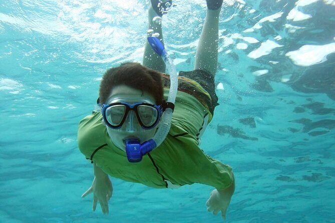 Discover Scuba Diving in Montego Bay-ONE Tank (First time Diving) - Instructor Style and Safety: Why Carl’s Approach Shows Up Often