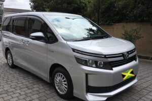 Dreams Rose Hall Resort & Spa Montego Bay Airport Transfer - What Makes This Transfer Feel Private (Not Just Reserved)