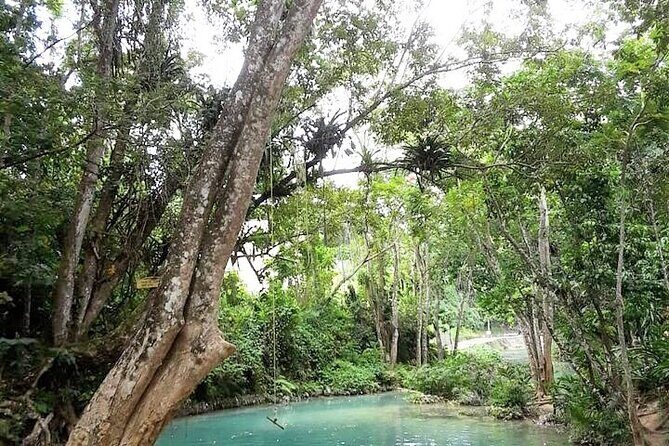 Dunn's Falls and Blue Hole Daytrip with Lunch from Montego Bay & Trelawny - Key Highlights Worth Knowing