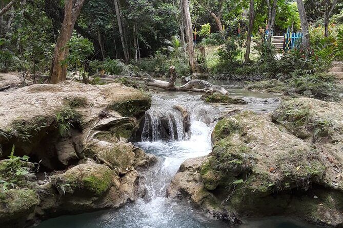 Dunn's Falls and Blue Hole Daytrip with Lunch from Montego Bay & Trelawny - Guides, Pace, and the $135 Value Play