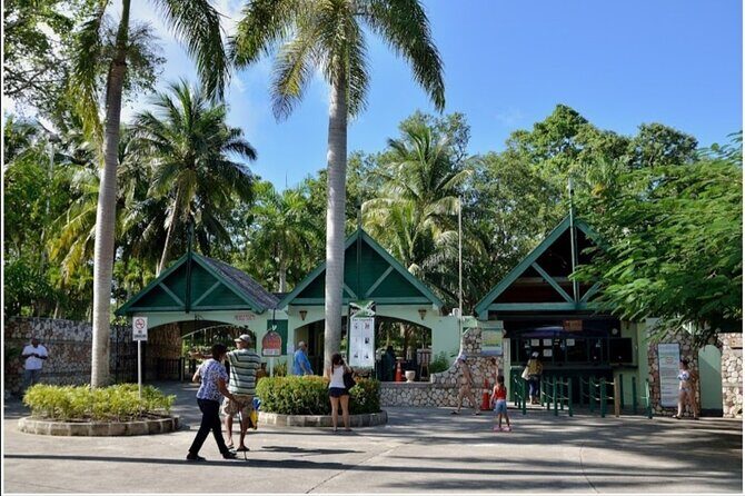 Dunn's River Falls - Timing and transfers: what 5 to 6 hours looks like in real life