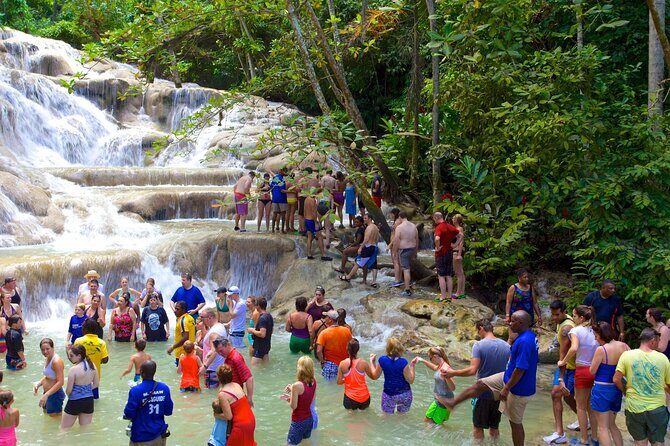 Dunn's River Falls and Blue Hole Adventure from Montego Bay Ja - Who This Tour Suits Best (And Who Might Want to Rethink It)
