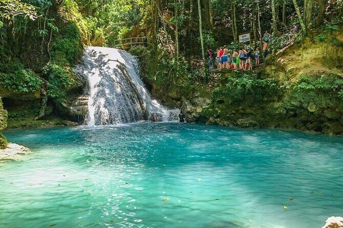 Dunn's River Falls and Blue Hole Adventure from Montego Bay Ja - Service and Team Energy: What the Best Reviews Point to