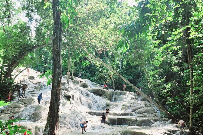Dunns River Falls & Blue Hole Combo from Montego Bay with Pick Up - The guide experience: why Bruce, Kirk, Dee, and Copely matter