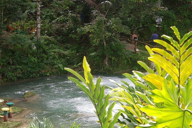 Dunn's River Falls & Blue Hole Tour from Montego Bay - Transportation Reality: Comfort, Timing, and When Private Turns Shared