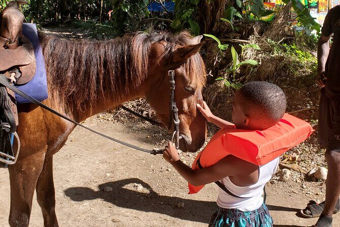 Dunn's River Falls Climb, Zipline and Horseback Riding Private Tour - Air-conditioned pickup and private transportation: the comfort factor