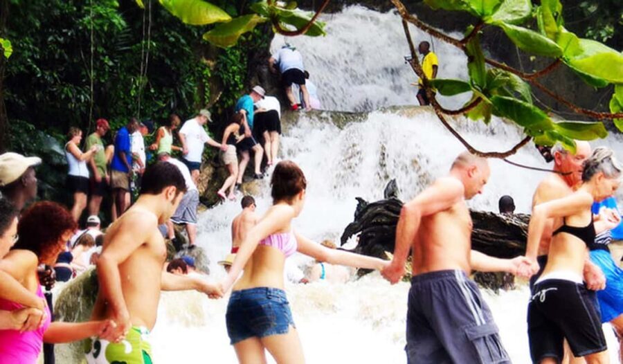 Dunn's River Falls Day Tour - Fern Gully: Native Herbs and Spices with a Practical Angle