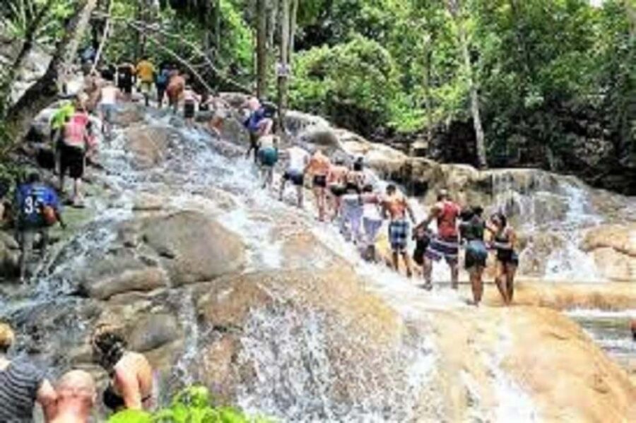 Dunn's River Falls Day Tour - Pickup and Drop-Off: The Real Comfort of Private Transportation