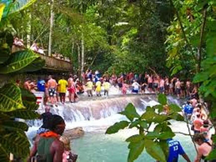Dunn's River Falls Day Tour - Price and Value: What $208 Covers (and What Doesn’t)
