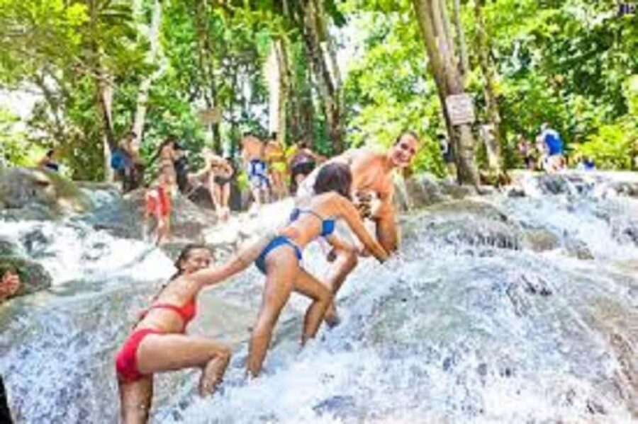 Dunn's River Falls Day Tour - Should You Book This Dunn’s River Falls and Fern Gully Tour?