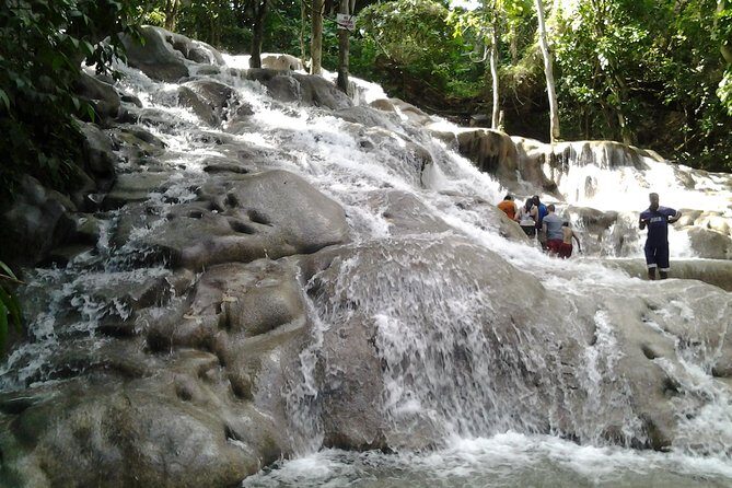 Dunn's River Falls excursion from Montego Bay - Should you book this Dunn’s River Falls trip with Trevor HudlinTours?