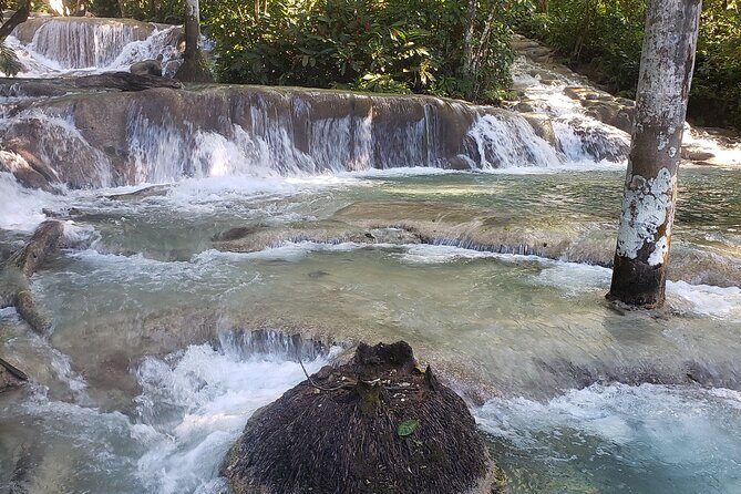 Dunns River Falls Experience from Montego Bay Resorts - Dunn’s River Falls: A Waterfall You Actually Climb
