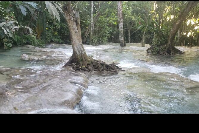 Dunns River Falls Experience from Montego Bay Resorts - Pickup, Transport, and the Meaning of Private