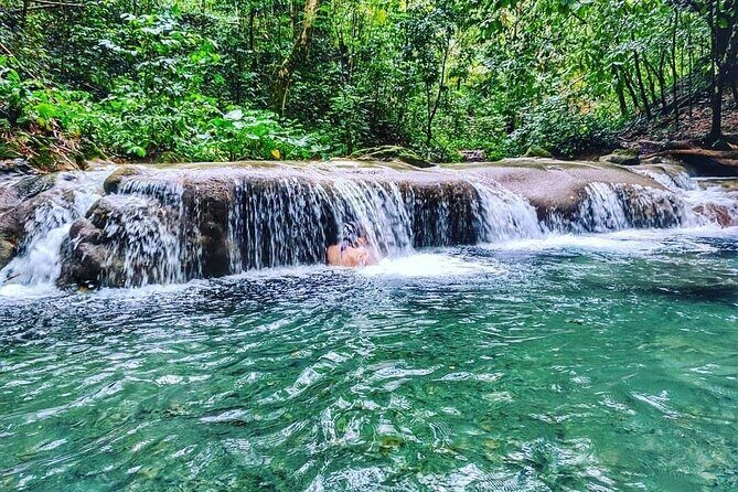 Dunn's River Falls & Luminous Lagoon Guided Tour from Montego Bay - Price and logistics: the car time trade-off