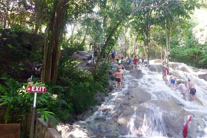 Dunns River Falls Private Day Tour - Price and logistics: what $110 really buys you