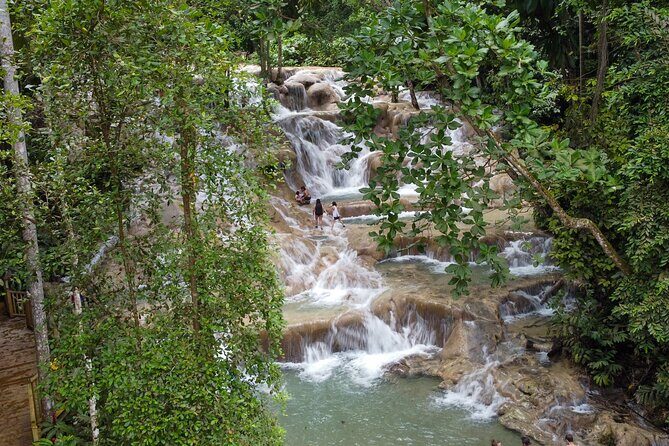 Dunns River Falls, Rafting, Zipline & Horseback from Montego Bay - Scotchies Jerk lunch: good food, real Jamaican flavor
