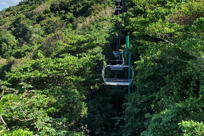 Dunn’s River Falls,Zip lining & horseback riding Combo tour from Montego Bay - Who this combo suits best (and who should think twice)