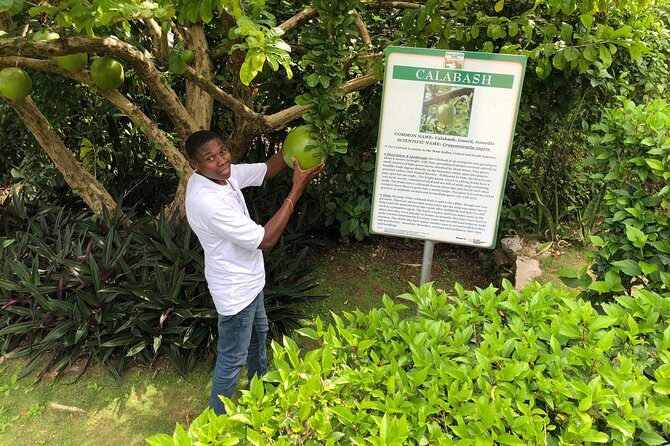 Explore Montego Bay Jamaica Private Tour to Green Gratto Cave - What to Bring (So You Enjoy the Cave More)