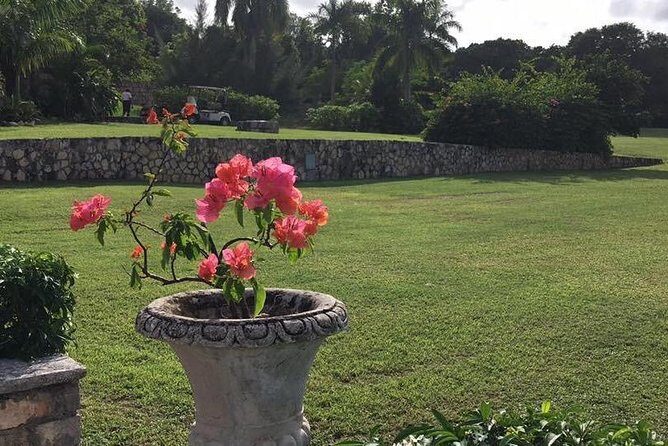 Explore Montego Bay Jamaica Rose Hall Great House Day/Night Tour - The Leon Factor: A Tour That Feels Taken Care Of