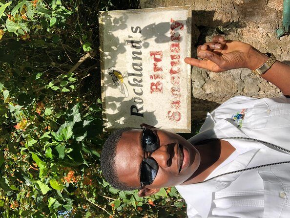 Explore Montego Bay Private Highlight Tour from Montego Bay - How the tour customization really plays out (and how you should guide it)