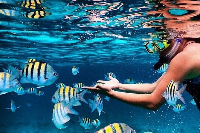 Family Fun-Snorkeling with Lunch Stop from Montego Bay - Key Points That Make This Tour Work