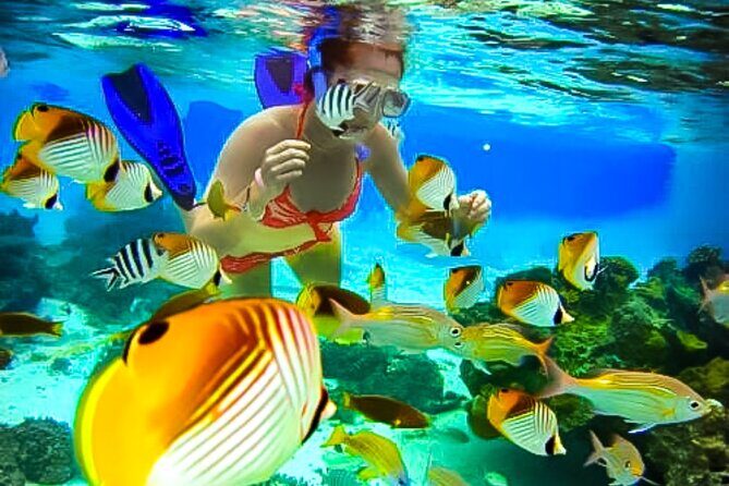 Family Fun-Snorkeling with Lunch Stop from Montego Bay - From Hotel Pickup to Reef: How The Day Actually Flows