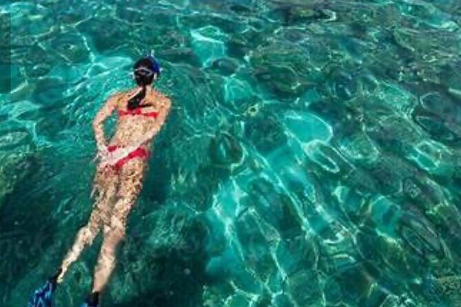 Family Fun-Snorkeling with Lunch Stop from Montego Bay - Lunch Or Early Dinner: Your Meal Stop With Local Choices