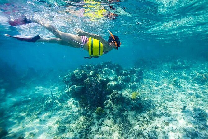 Family Fun-Snorkeling with Lunch Stop from Montego Bay - Transportation, Communication, And The Human Part