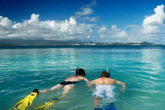 Family Fun-Snorkeling with Lunch Stop from Montego Bay - Price And Value: What $110 Really Includes