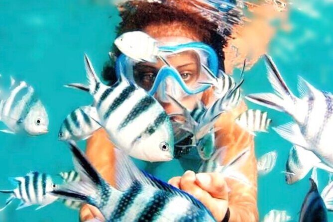 Family Fun-Snorkeling with Lunch Stop from Montego Bay - Snorkeling Setup: Gear, Lesson, And A Guide Who Stays Close
