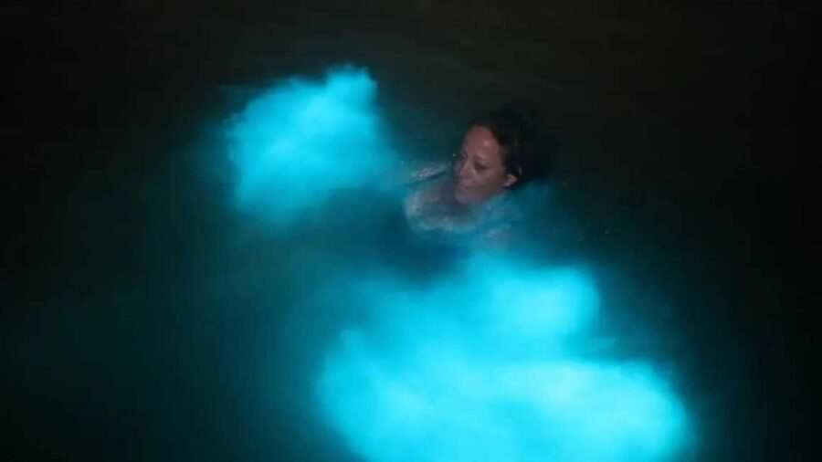 From Montego Bay: Luminous Lagoon Boat Tour with Transfer - Key Points You Should Know Before You Go