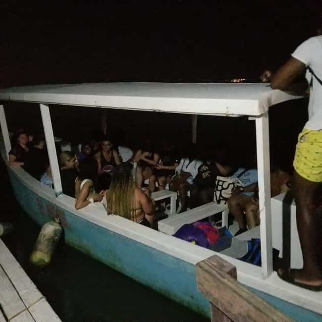 From Montego Bay: Luminous Lagoon Boat Tour with Transfer - Who This Tour Fits Best, and Who Should Skip It