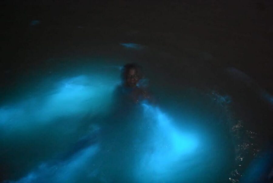 From Montego Bay: Luminous Lagoon Night Tour - The Boat Ride: The Glow Builds as the Water Gets Dark