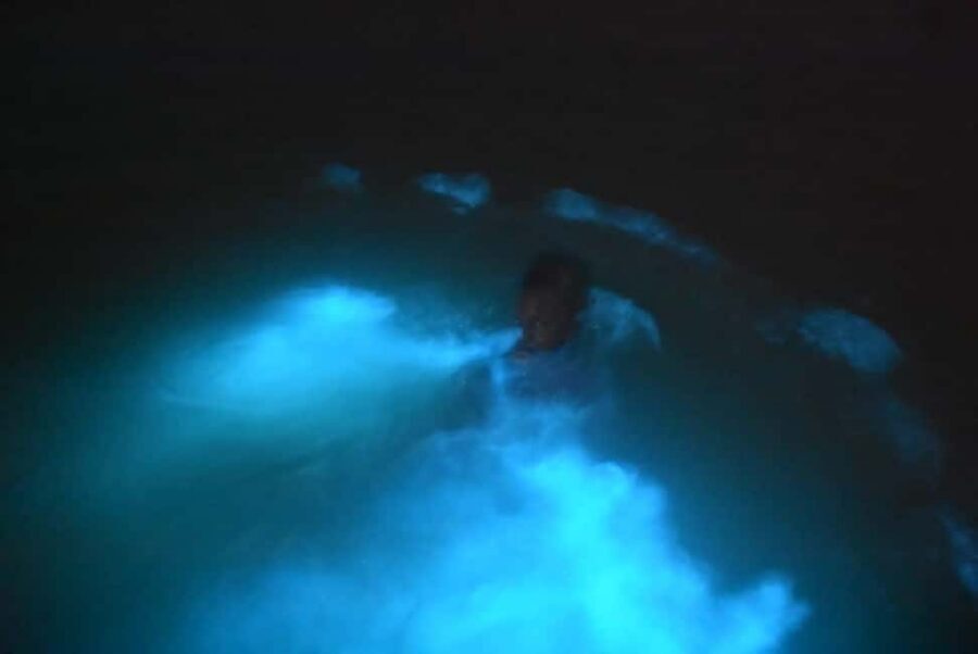 From Montego Bay: Luminous Lagoon Night Tour - Getting There from Montego Bay: Tickets vs. Real Transportation