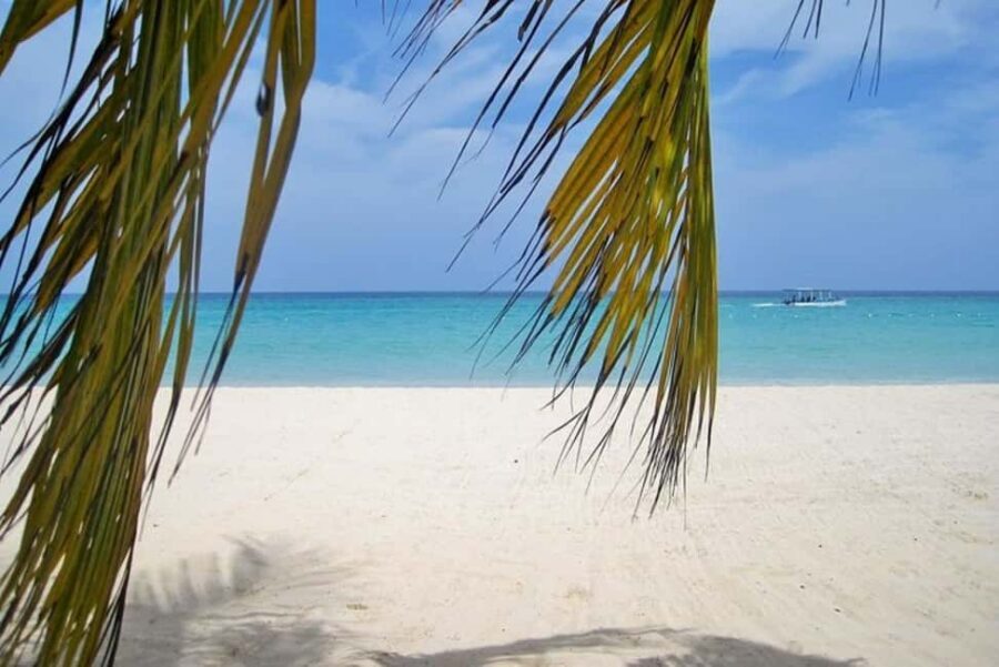From Montego Bay: Negril Beach and Rick's Café Day Trip - Negril in 5 Hours: What You Really Get