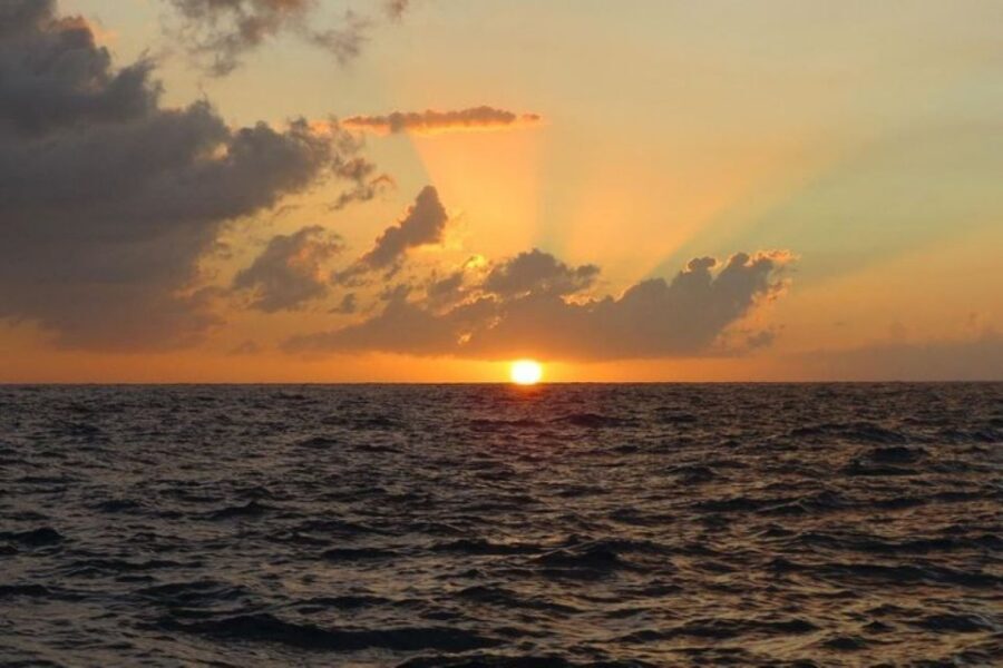 From Montego Bay: Negril Beach and Rick's Café Day Trip - Final Call: Should You Book This Day Trip?