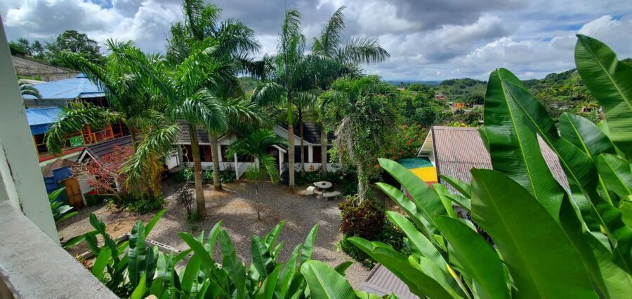 From Montego Bay: The Bob Marley Guided Tour of Nine Mile - Transport Comfort and Getting Around: Air-Conditioned, But Not Effort-Free