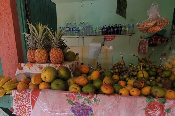 Full-Day Guided Tour to Dunns River Falls & shopping with lunch - Dunn’s River Falls & Park: Two Ways to Do the Adventure