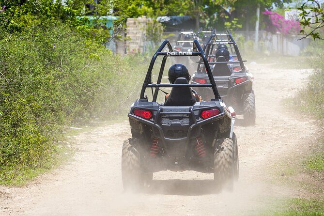 Full Day Jamwest Adventure Park with Welcome Drink - Jamculture Experience: nature, history, and tastings
